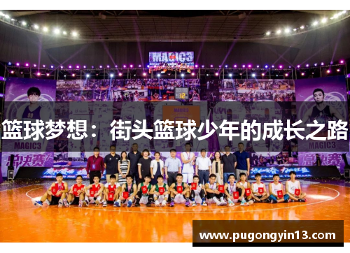 篮球梦想：街头篮球少年的成长之路